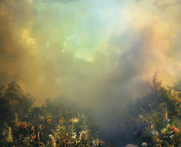 Joanna Newsom Divers review