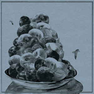 overlooked albums 2015 Hop Along
