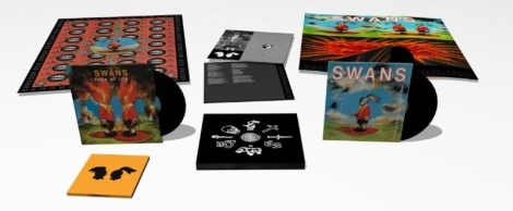 swans-white-light-box-470x352