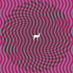 Deerhunter Cryptograms