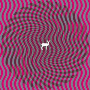 Deerhunter Cryptograms