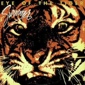 unauthorized political campaign songs Survivor
