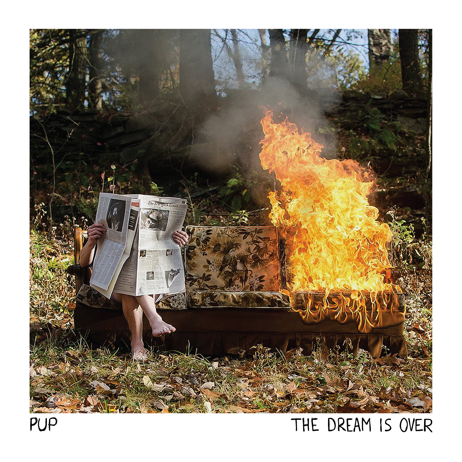 PUP new album