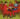 best tokyo albums - yellow magic orchestra