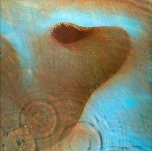 essential side-long tracks Echoes
