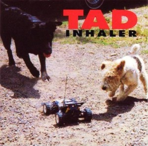 best grunge albums Tad