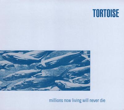 best side-long tracks Tortoise