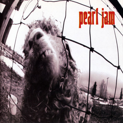 best grunge albums Pearl Jam Vs.