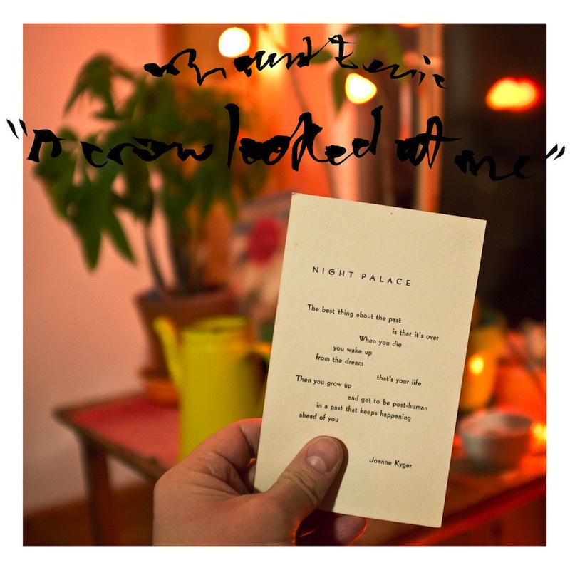 Mount Eerie a crow looked at me review