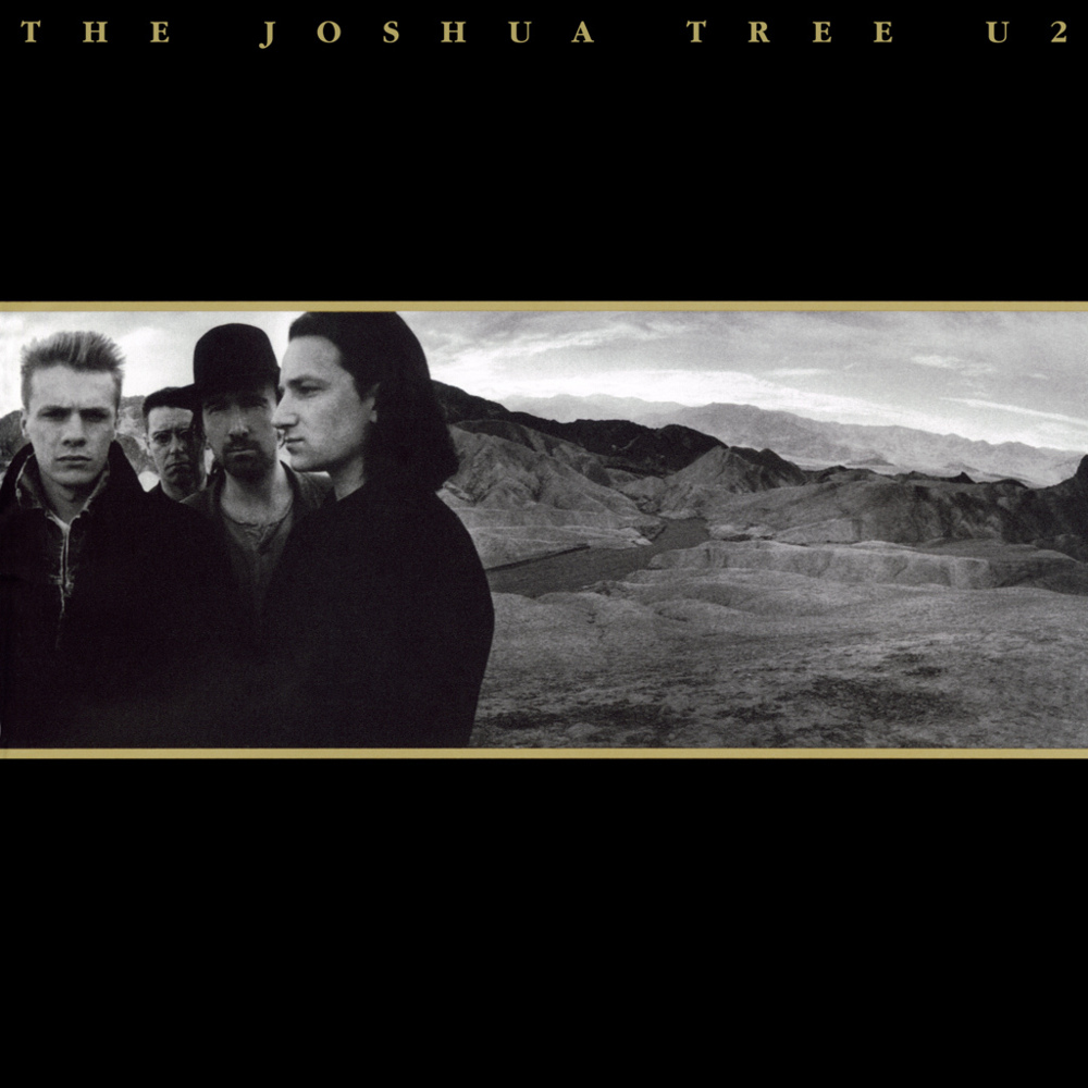 joshua tree