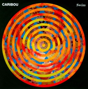caribou swim review