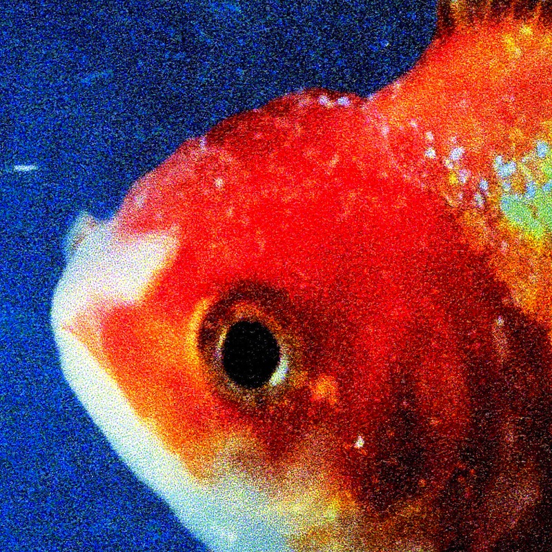 Vince Staples Big Fish Theory review