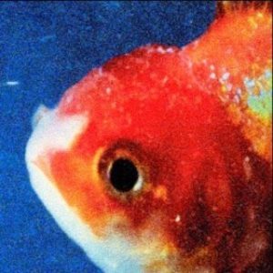 best albums of 2017 so far Vince Staples