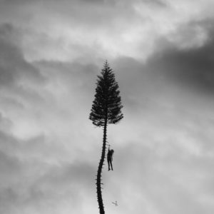 Manchester Orchestra review
