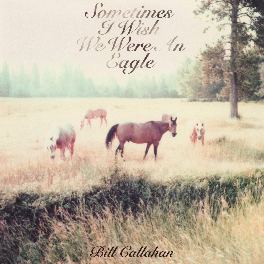 bill callahan