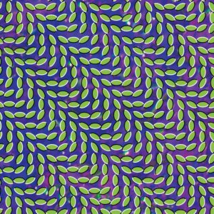 animal-collective-mpp