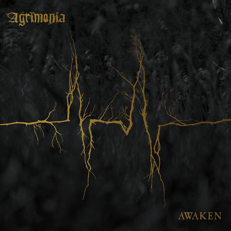 Agrimonia Awaken review Album of the Week