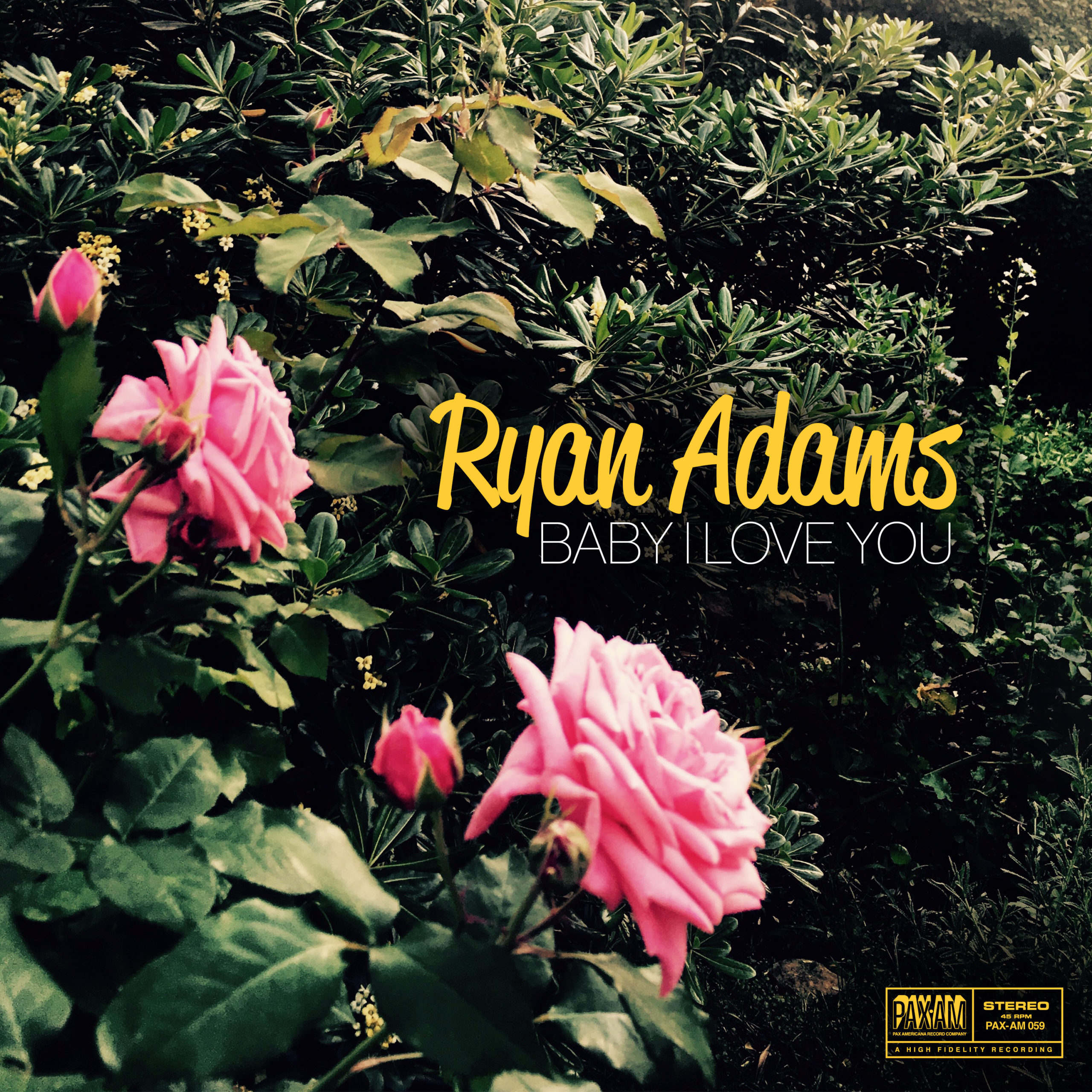 Ryan Adams Baby I Love You single