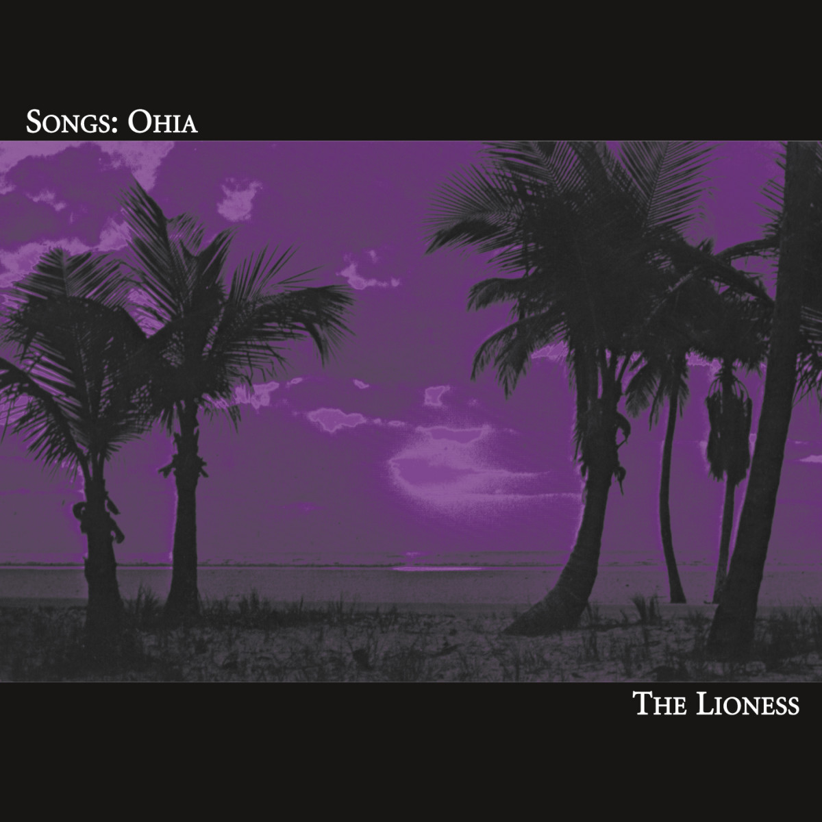 jason molina discography The Lioness