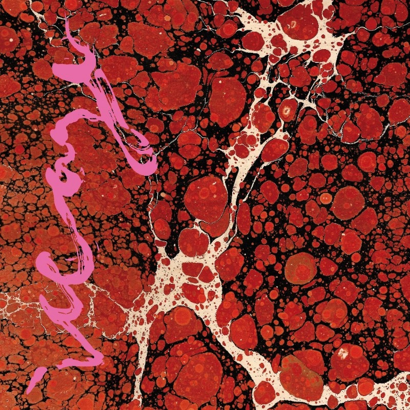 Iceage new album Beyondless
