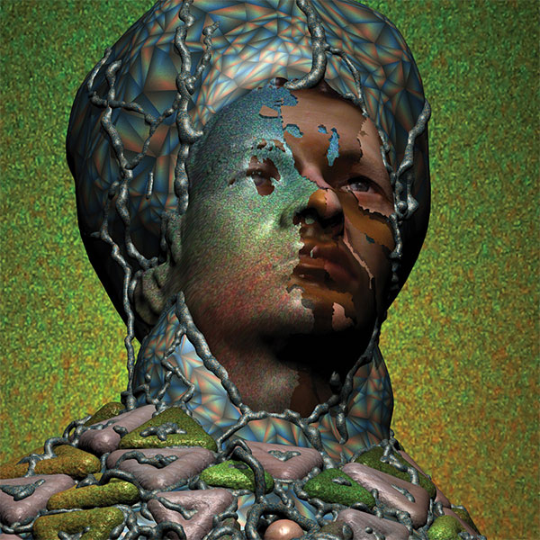 sufjan stevens the age of adz 