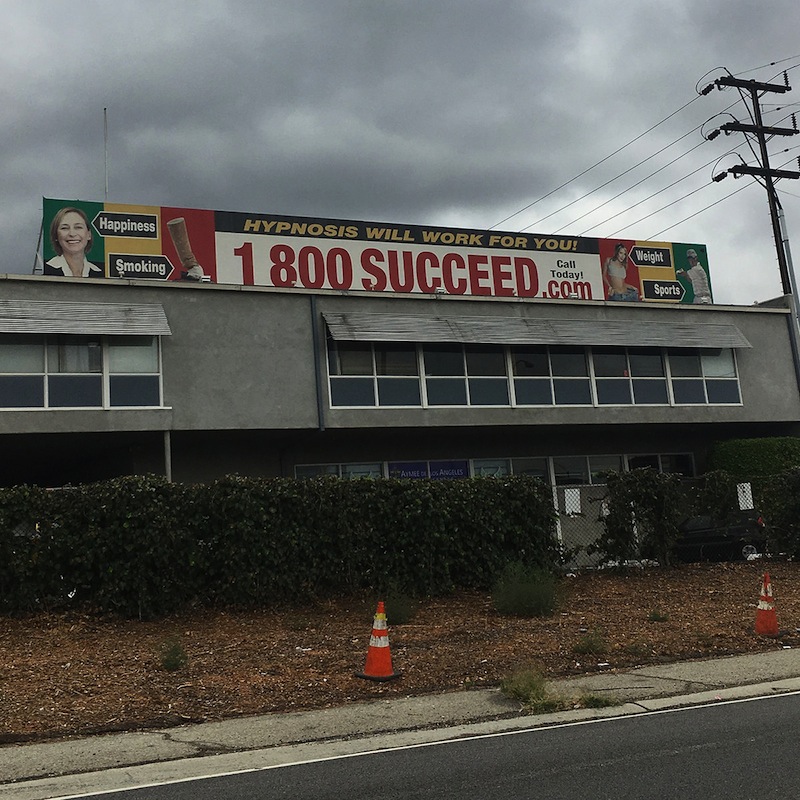Media 1-800-Succeed review