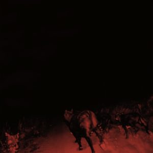 Bambara Shadow on Everything review Album of the Week