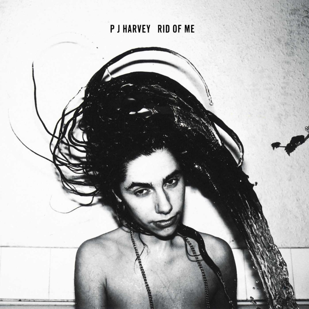 PJ Harvey Rid of Me favorite albums of all-time