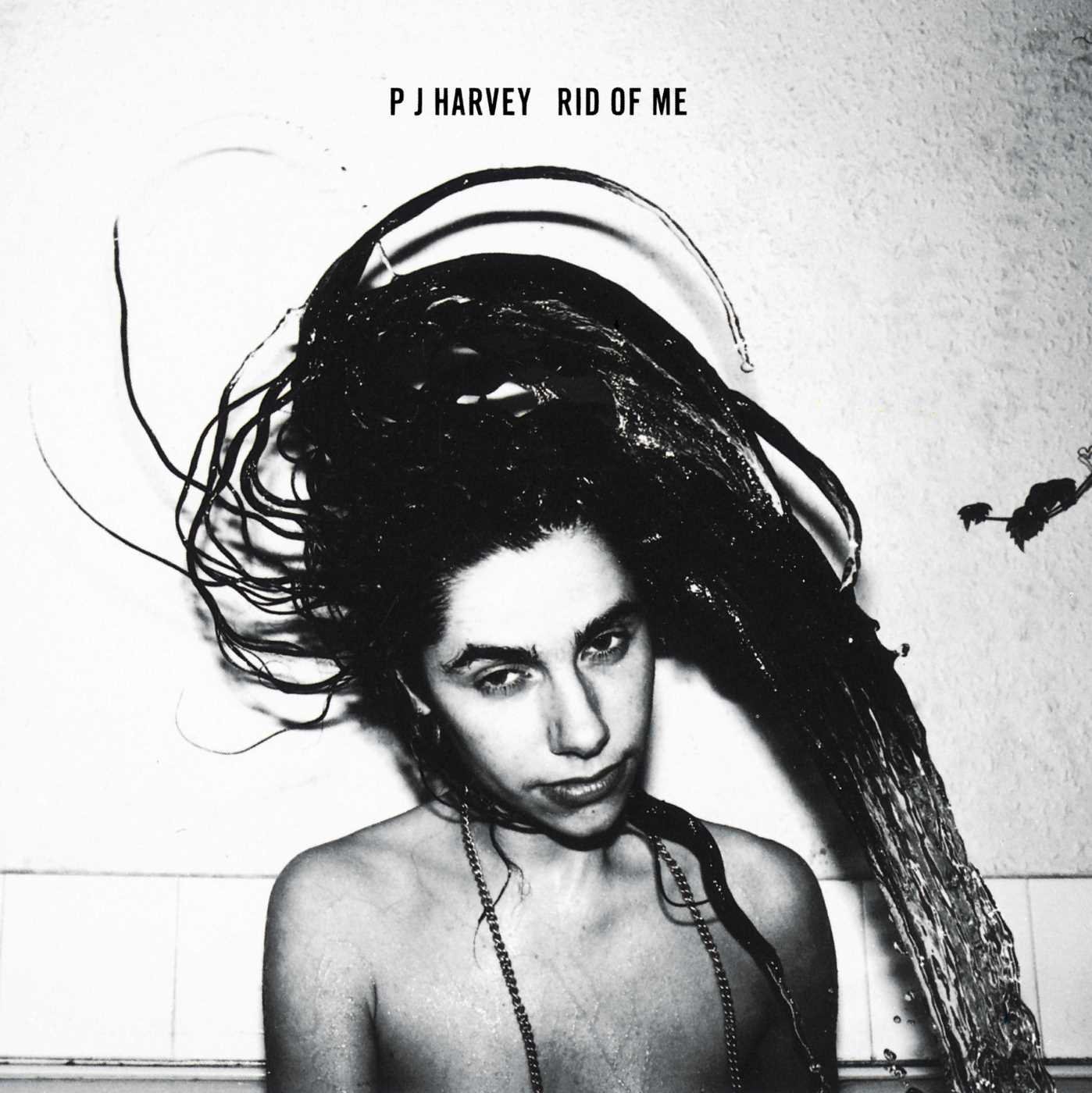 PJ Harvey Rid of Me hall of fame