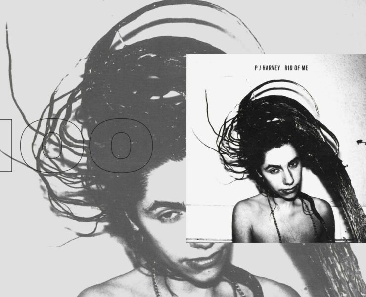 PJ Harvey Rid of Me