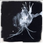 Sigur Ros Route One review