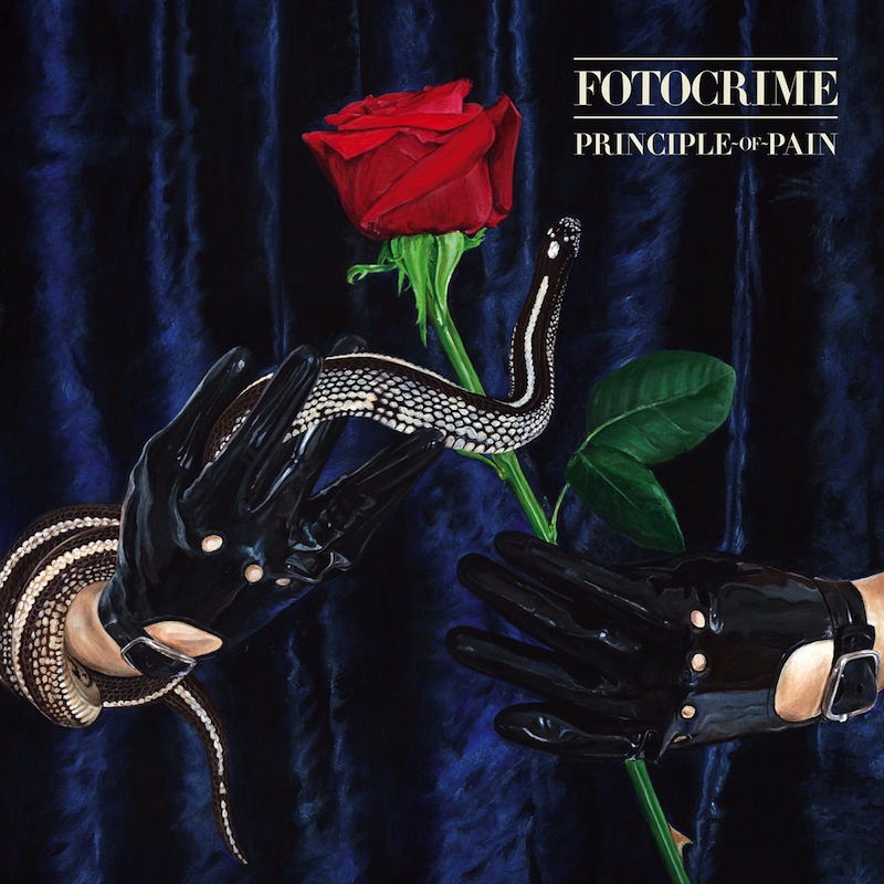 Fotocrime Principle of Pain review