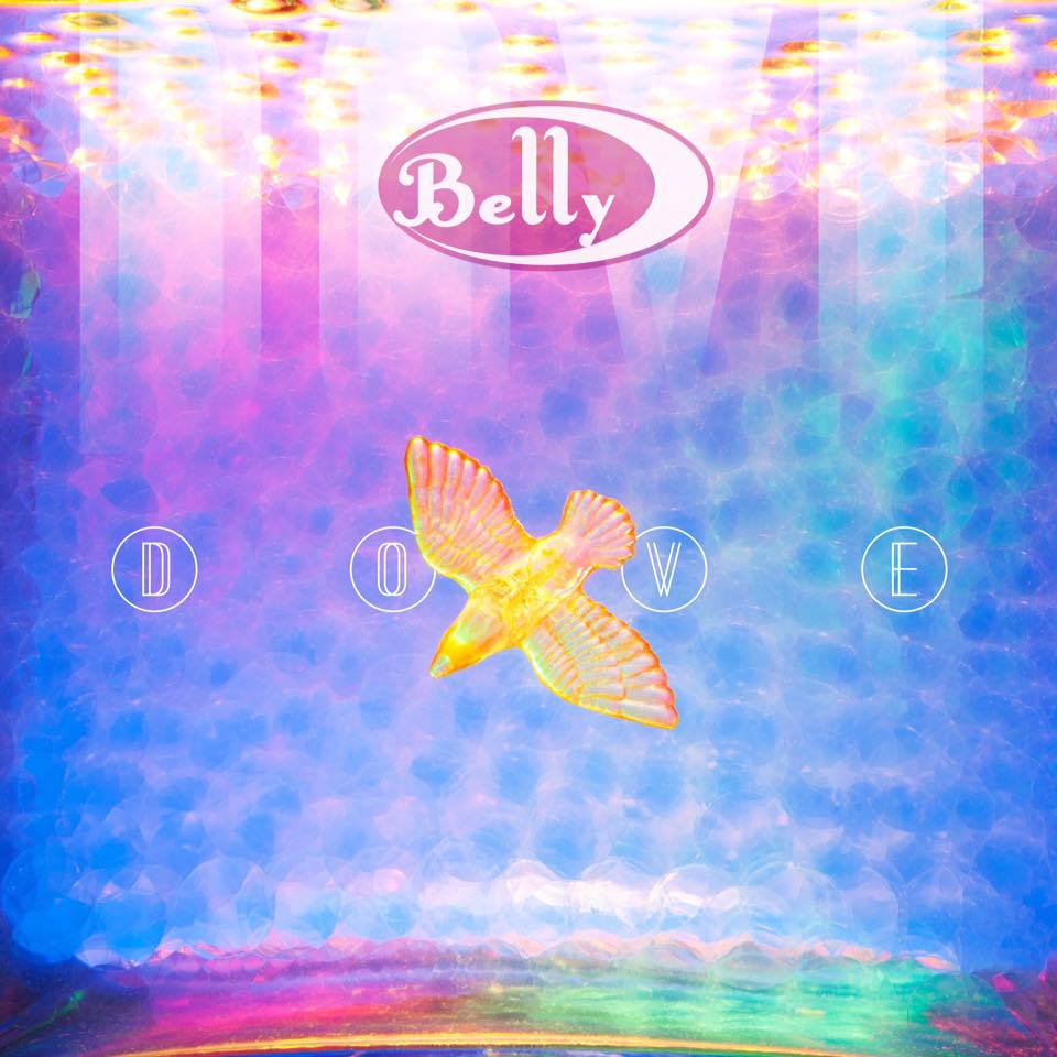 Belly Dove review