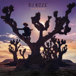 DJ Koze Knock Knock review