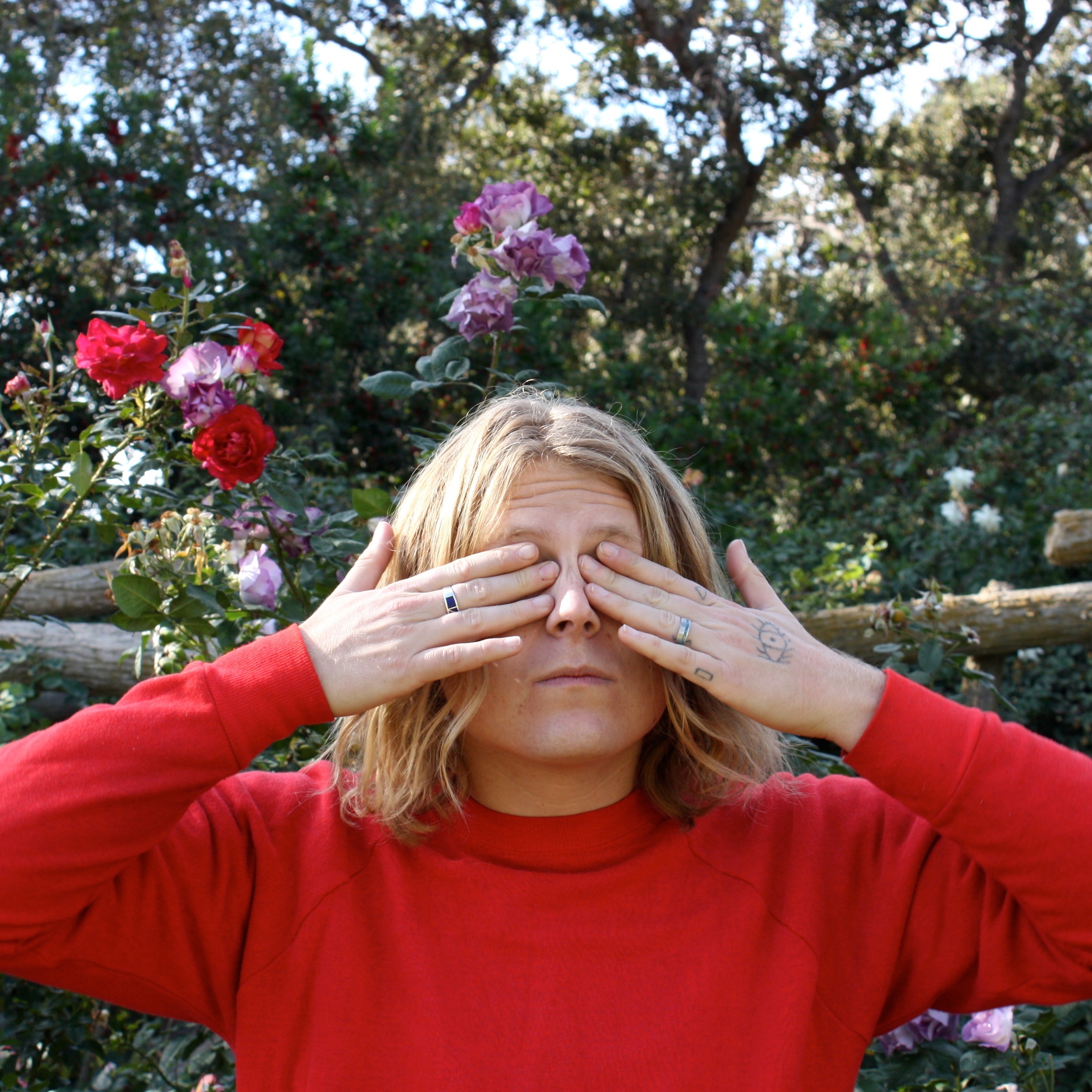 Ty Segall acoustic tour