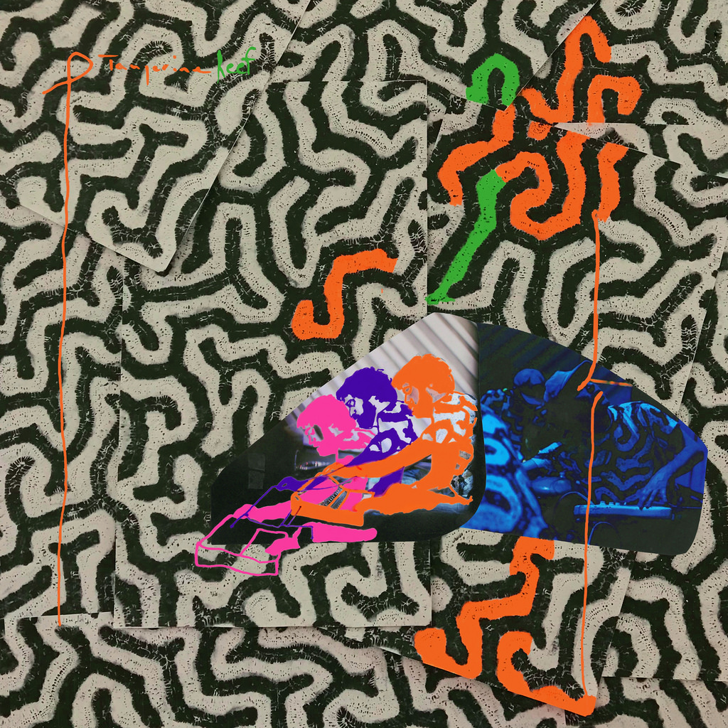 Animal Collective new album details Tangerine Reef