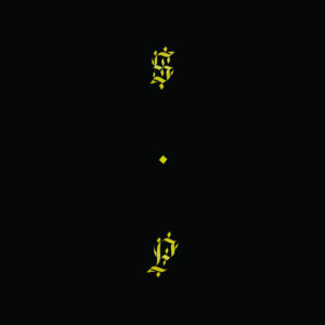 sub pop 30 years tracks Shabazz Palaces