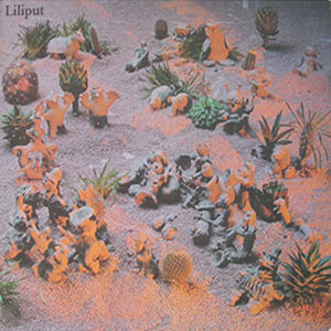 best post-punk albums Liliput
