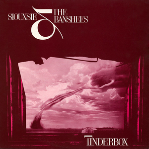 best post-punk albums Siouxsie