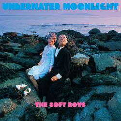 best post-punk albums Soft Boys