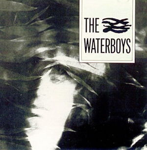 the-waterboys-remastered