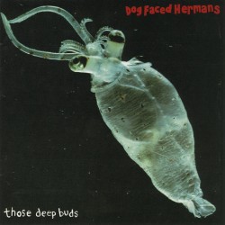 best post-punk albums Dog Faced Hermans