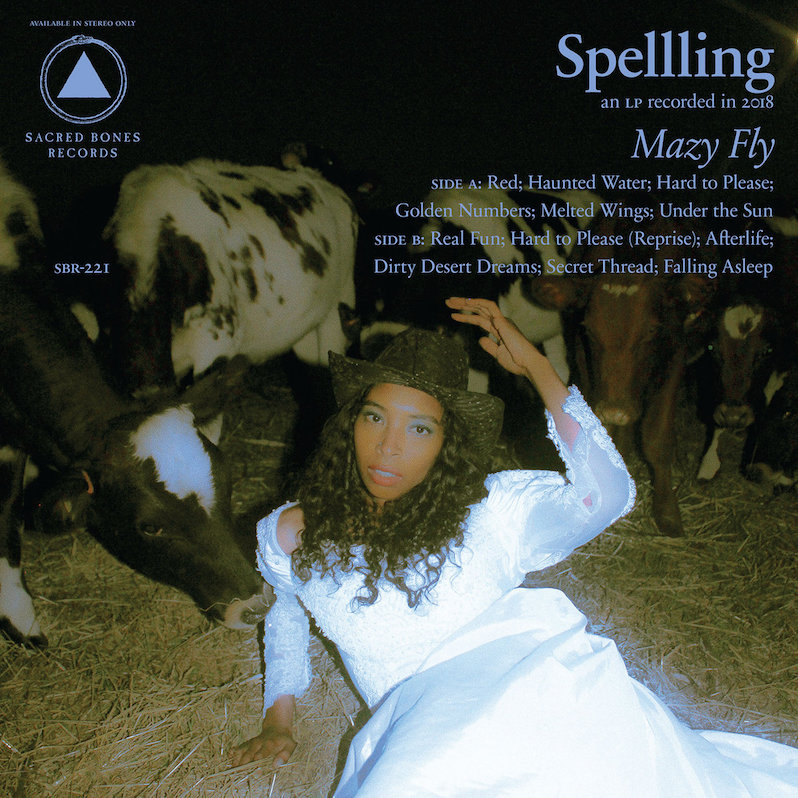 Spellling Mazy Fly review