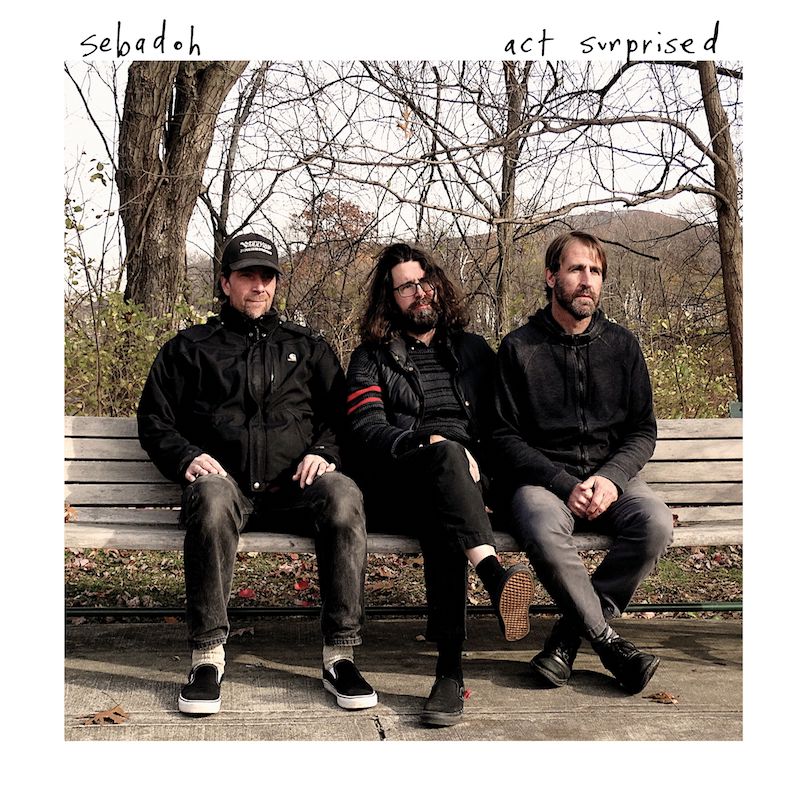 Sebadoh new album 2019