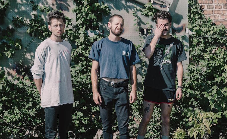 Cocordion video premiere