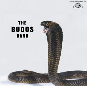 staten island albums Budos Band