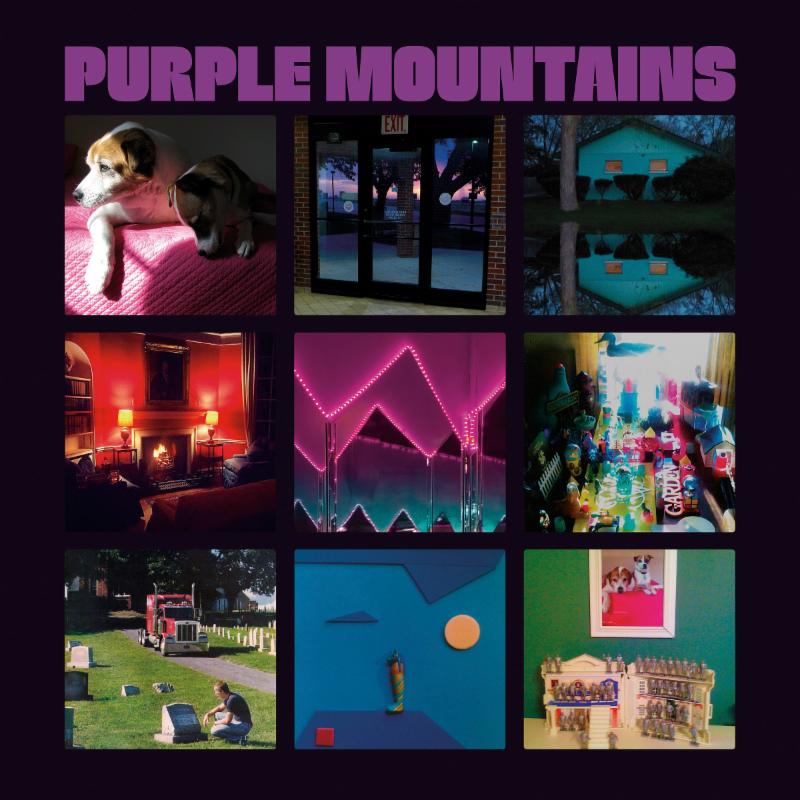 Purple Mountains new album 2019