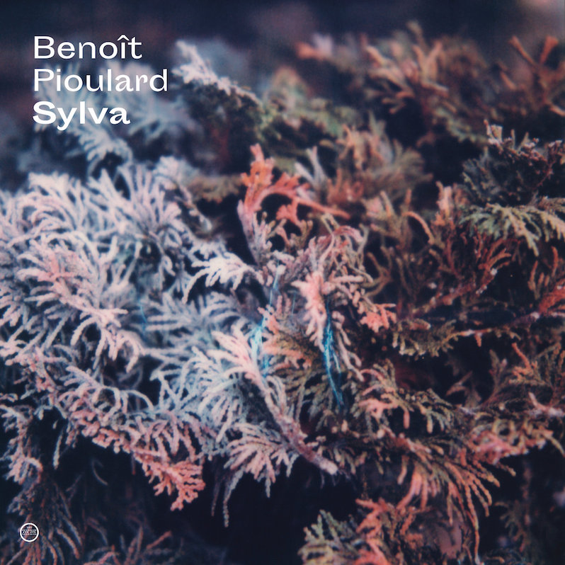 Benoit Pioulard Sylva review