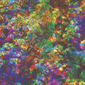 best songs of 2010s Caribou