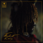 4-3-thundercat